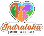 Indraloka Logo Sticker